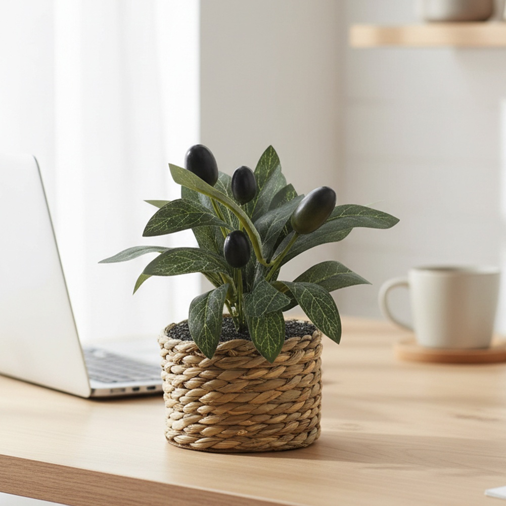 Office Furniture Installation - نباتات اصطناعية، شجرة زيتون صغيرة، نباتات